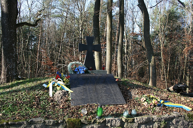 Rostoczek 11.2008 266